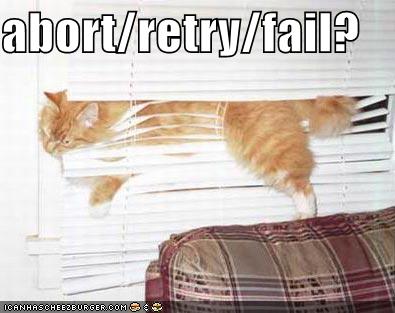 funny-pictures-cat-blinds-abort-retry-fail